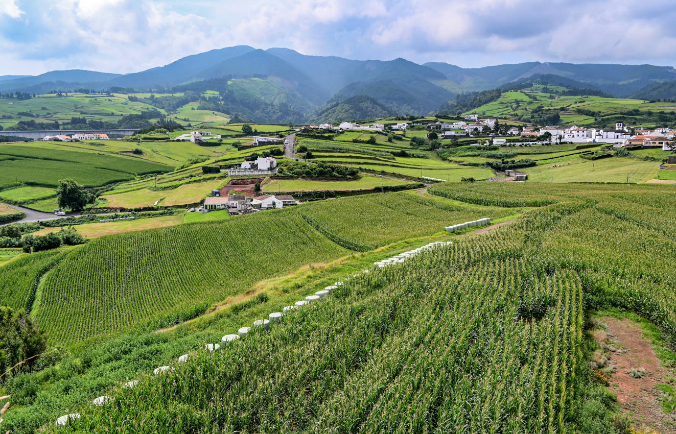 Ашада, image of landscape/habitat.