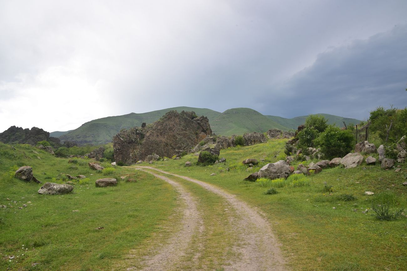 Окрестности села Тмогви, image of landscape/habitat.