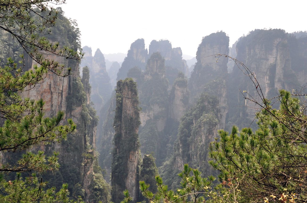 Национальный парк "Чжанцзяцзе", image of landscape/habitat.