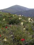 Image of landscape