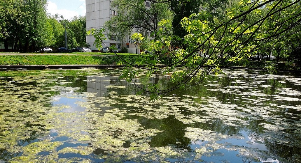 Перово (местность), image of landscape/habitat.
