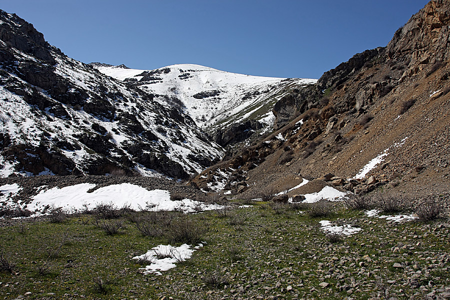Горы Алатау, image of landscape/habitat.