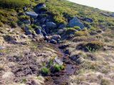 Image of landscape