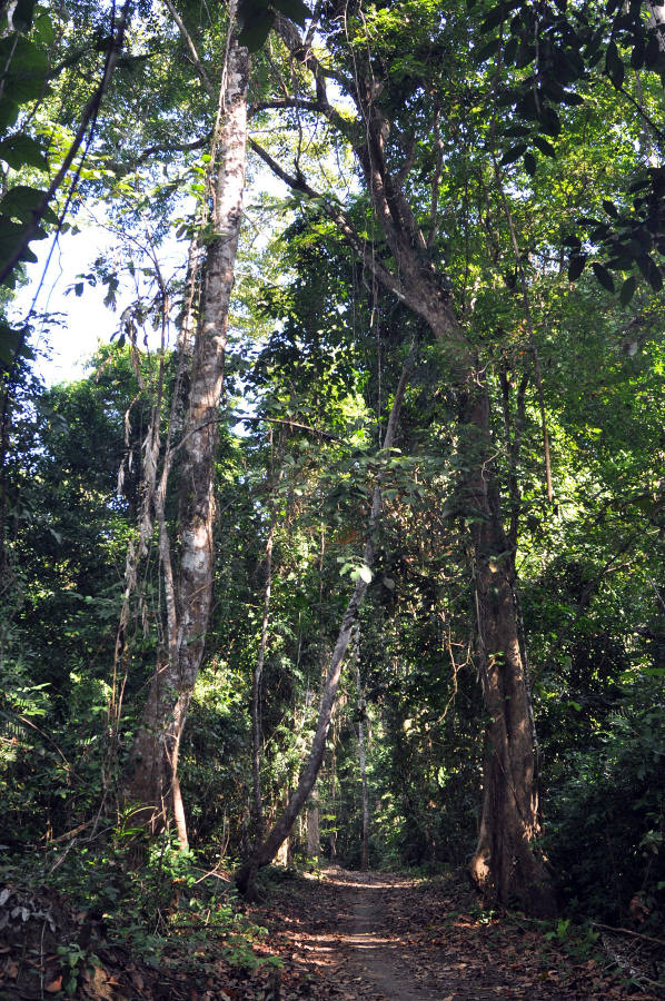 Остров Лонг, image of landscape/habitat.