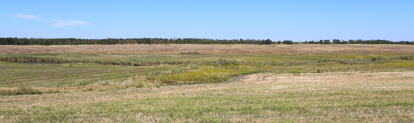 Долина реки М. Еланчик (В-Х с/п), image of landscape/habitat.