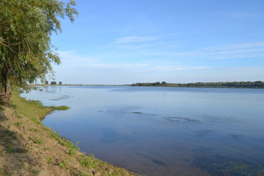 Вершина дельты Волги, image of landscape/habitat.