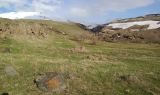Image of landscape