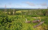 Пиленга, image of landscape/habitat.