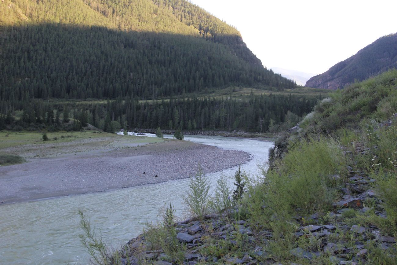 Окрестности устья Аргута, image of landscape/habitat.