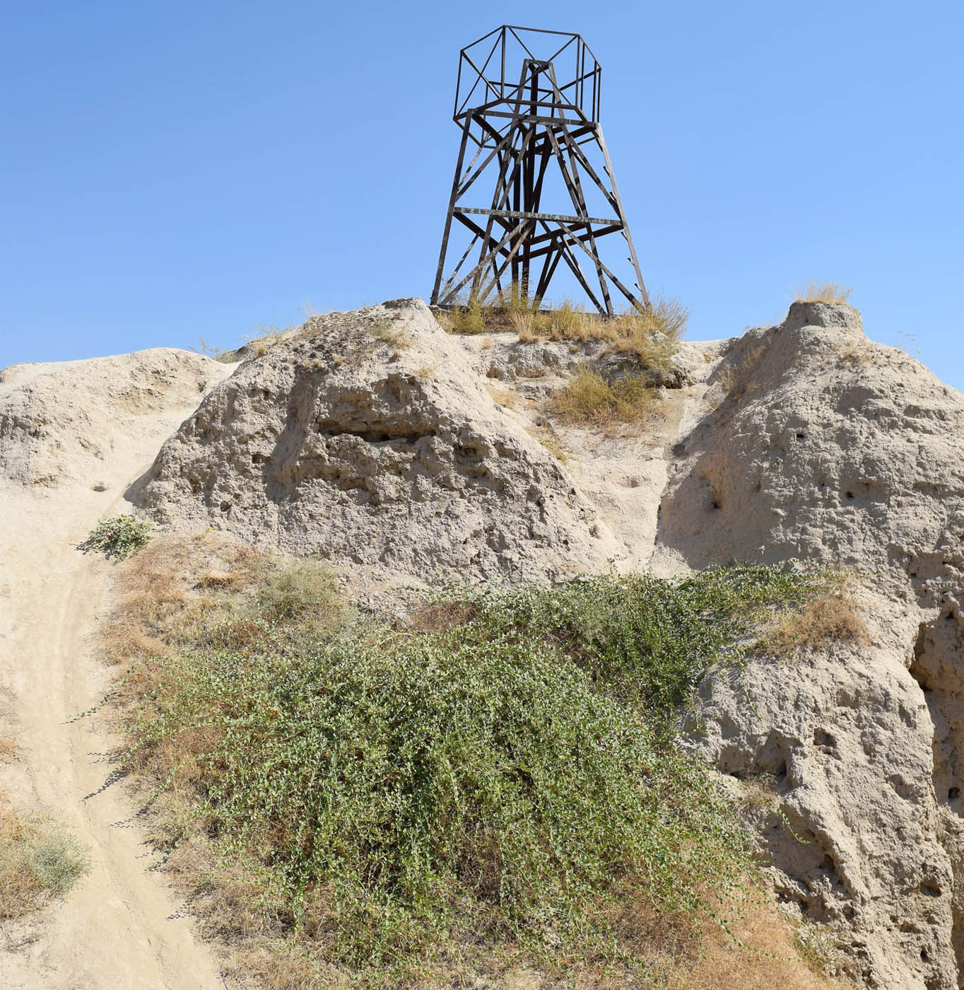 Шаштепа (Shoshtepa), image of landscape/habitat.