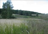 Image of landscape
