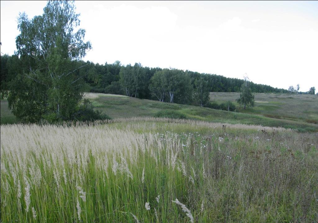 Старое Клейменово, изображение ландшафта.