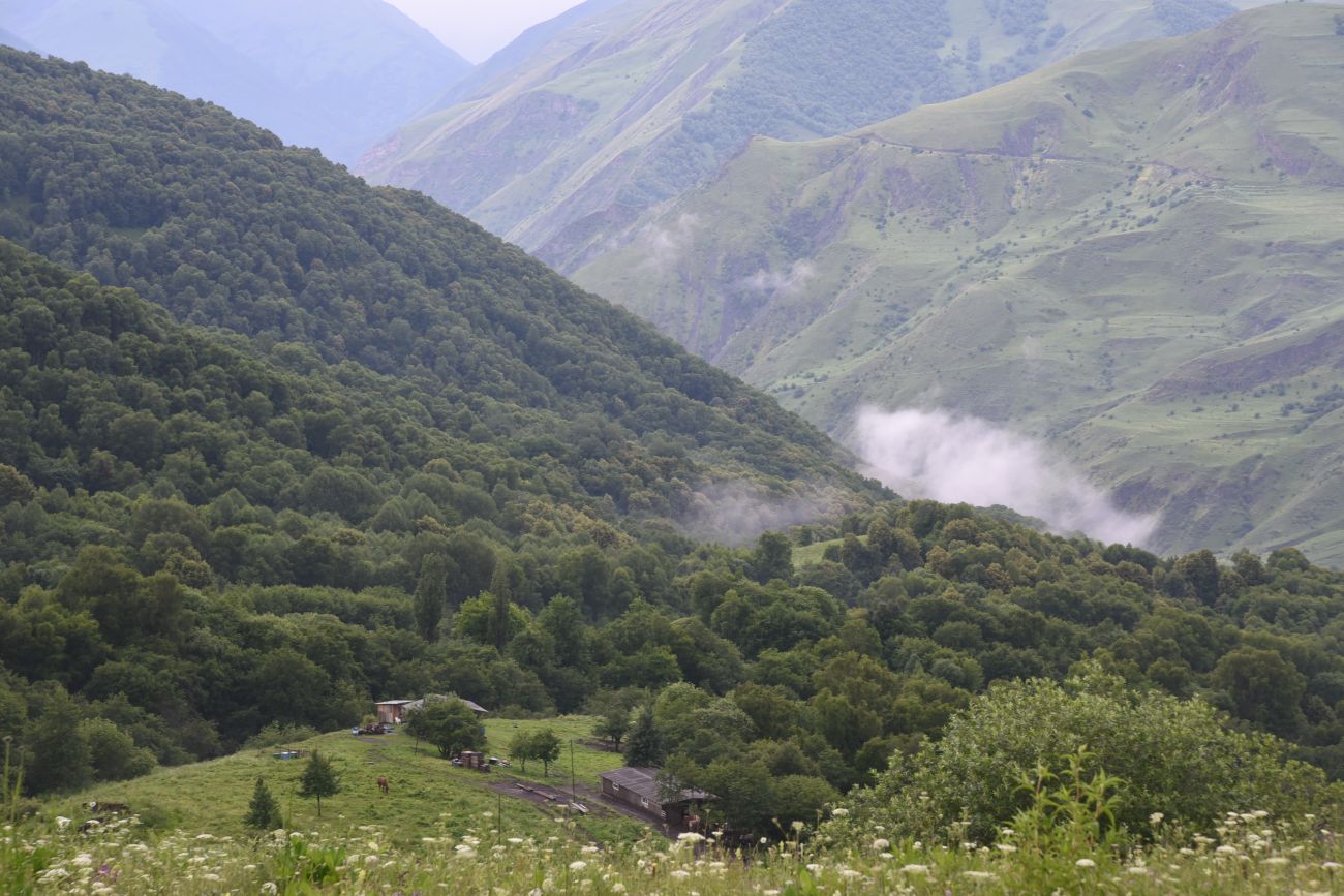 Хакмадой, image of landscape/habitat.
