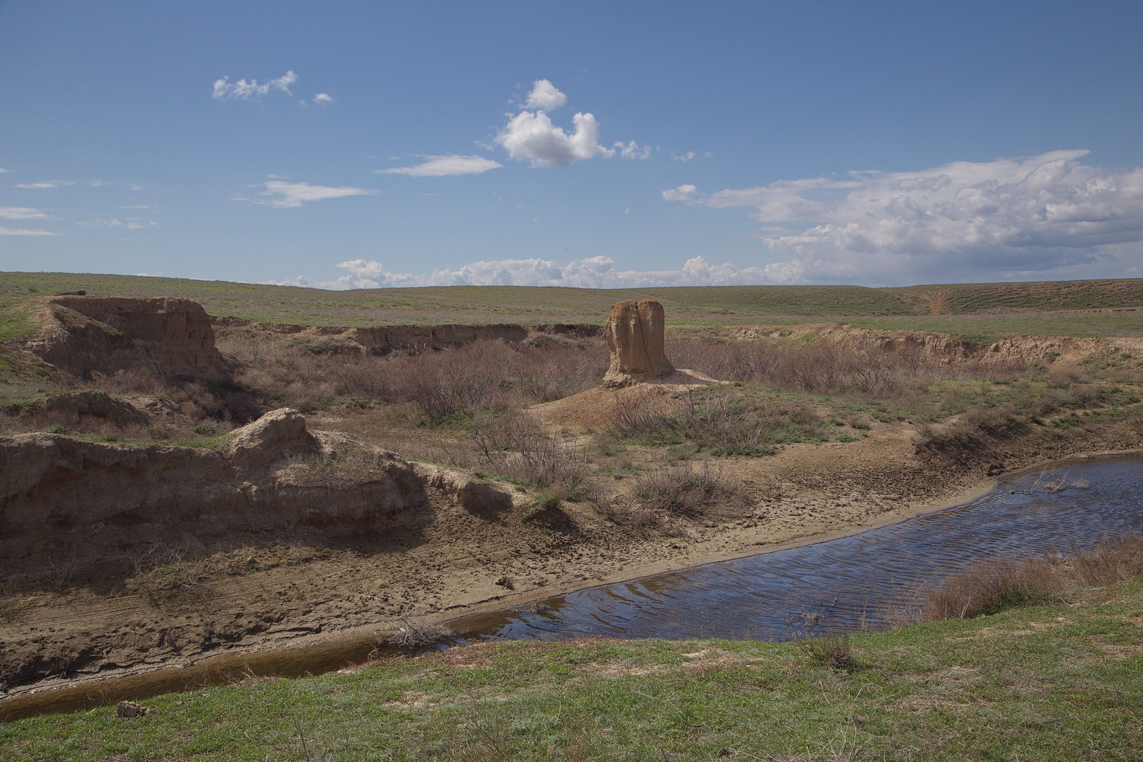 Эльтон, image of landscape/habitat.