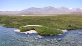 Аличурская долина, image of landscape/habitat.