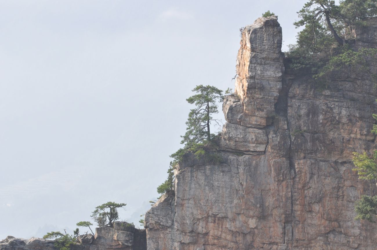 Национальный парк "Чжанцзяцзе", изображение ландшафта.