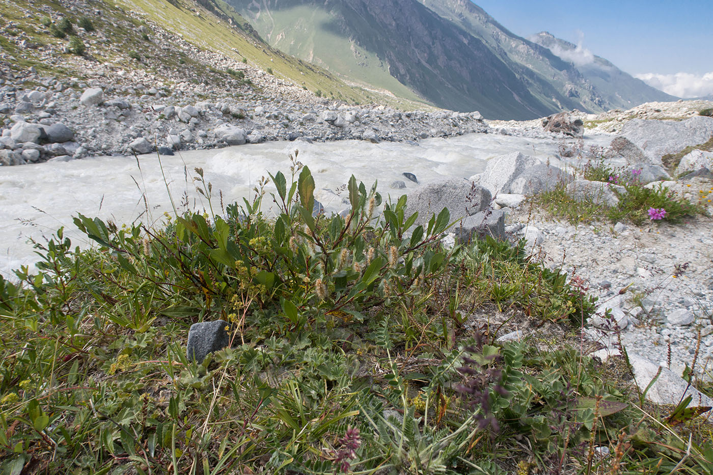 Ледник Нахашбита (Псыгансу), изображение ландшафта.