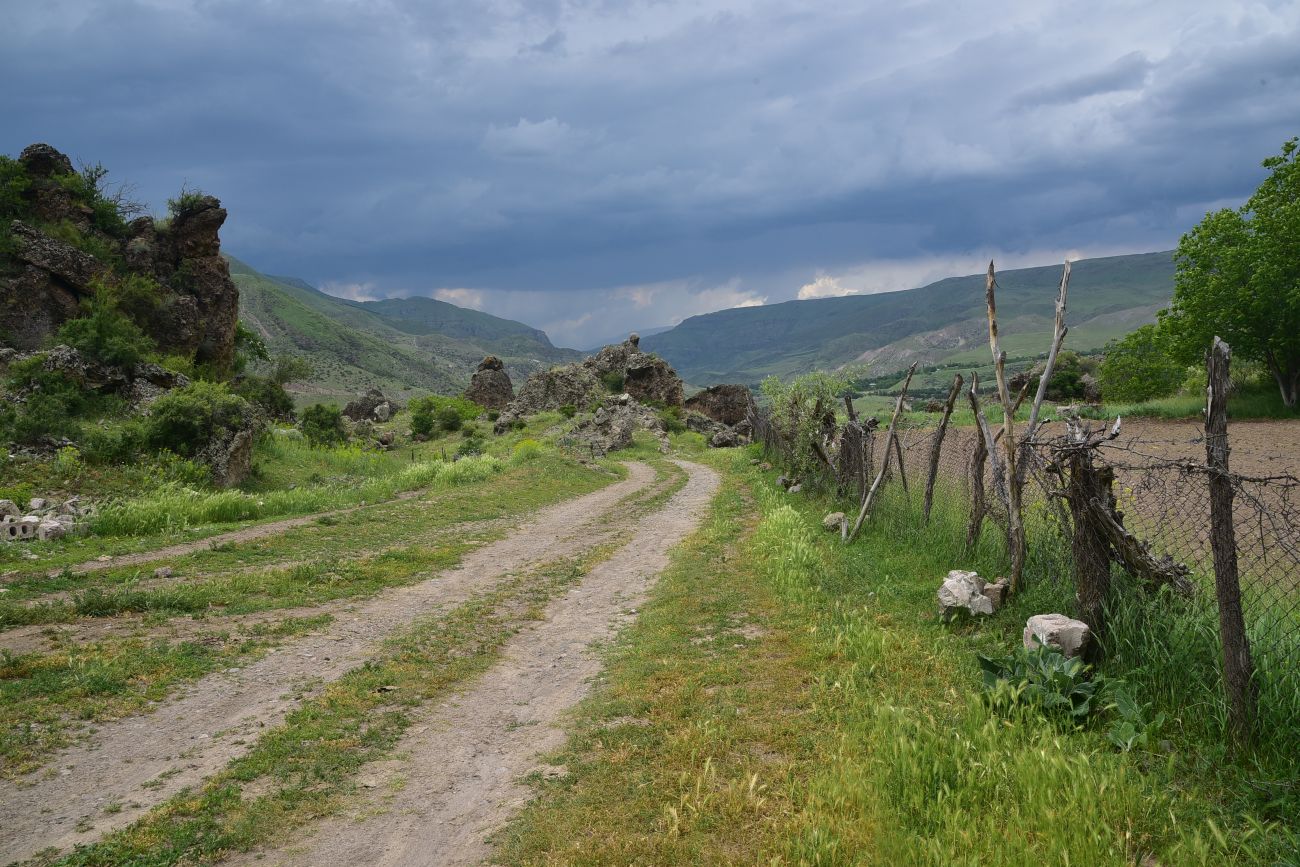 Окрестности села Тмогви, image of landscape/habitat.