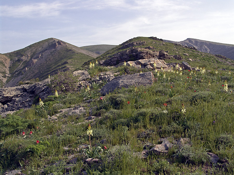 Ущелье Кенозен, изображение ландшафта.
