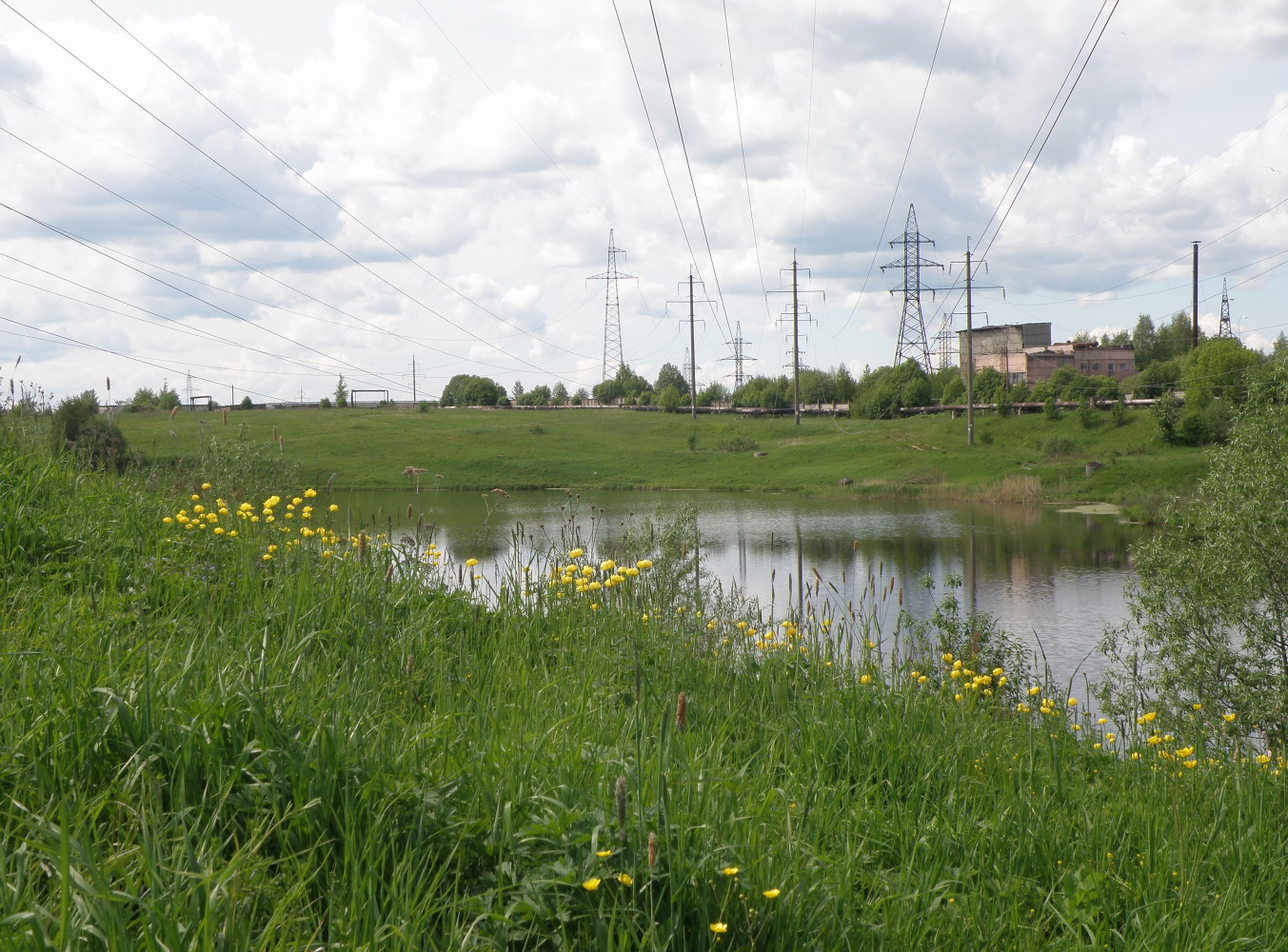 Окрестности с. Большая Брембола, image of landscape/habitat.