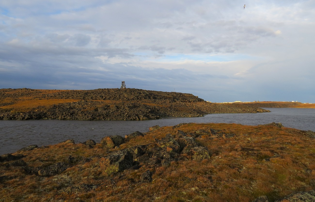 Остров Северный, изображение ландшафта.