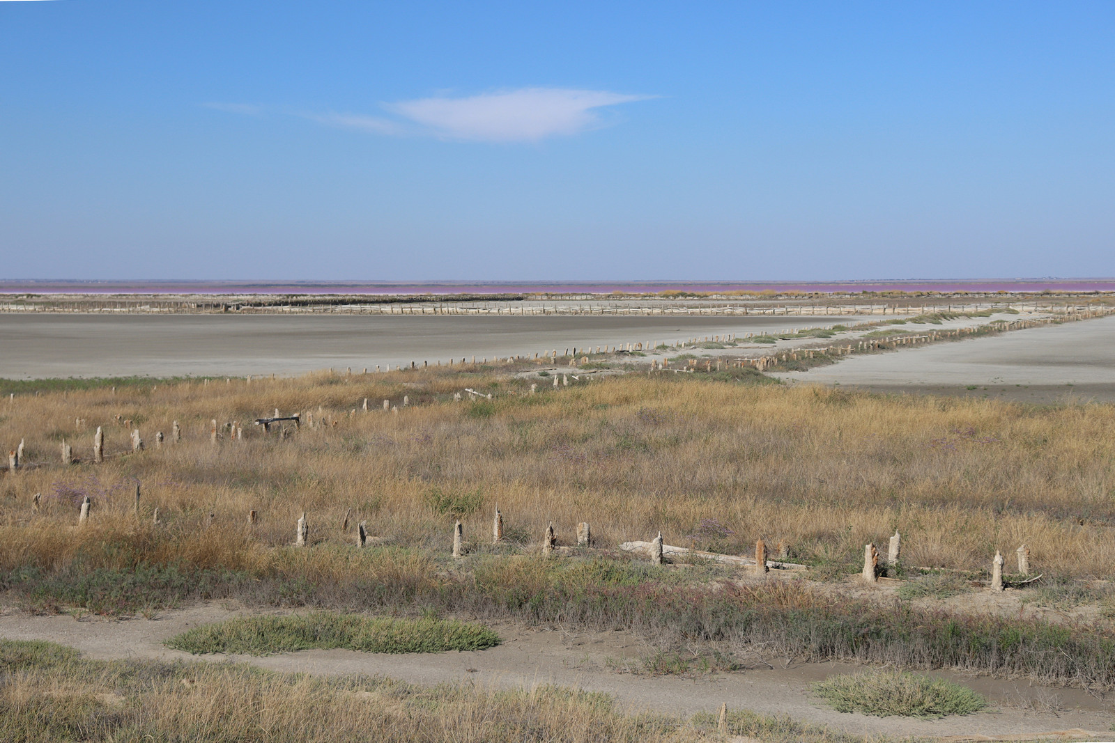 Сасыкская пересыпь, image of landscape/habitat.