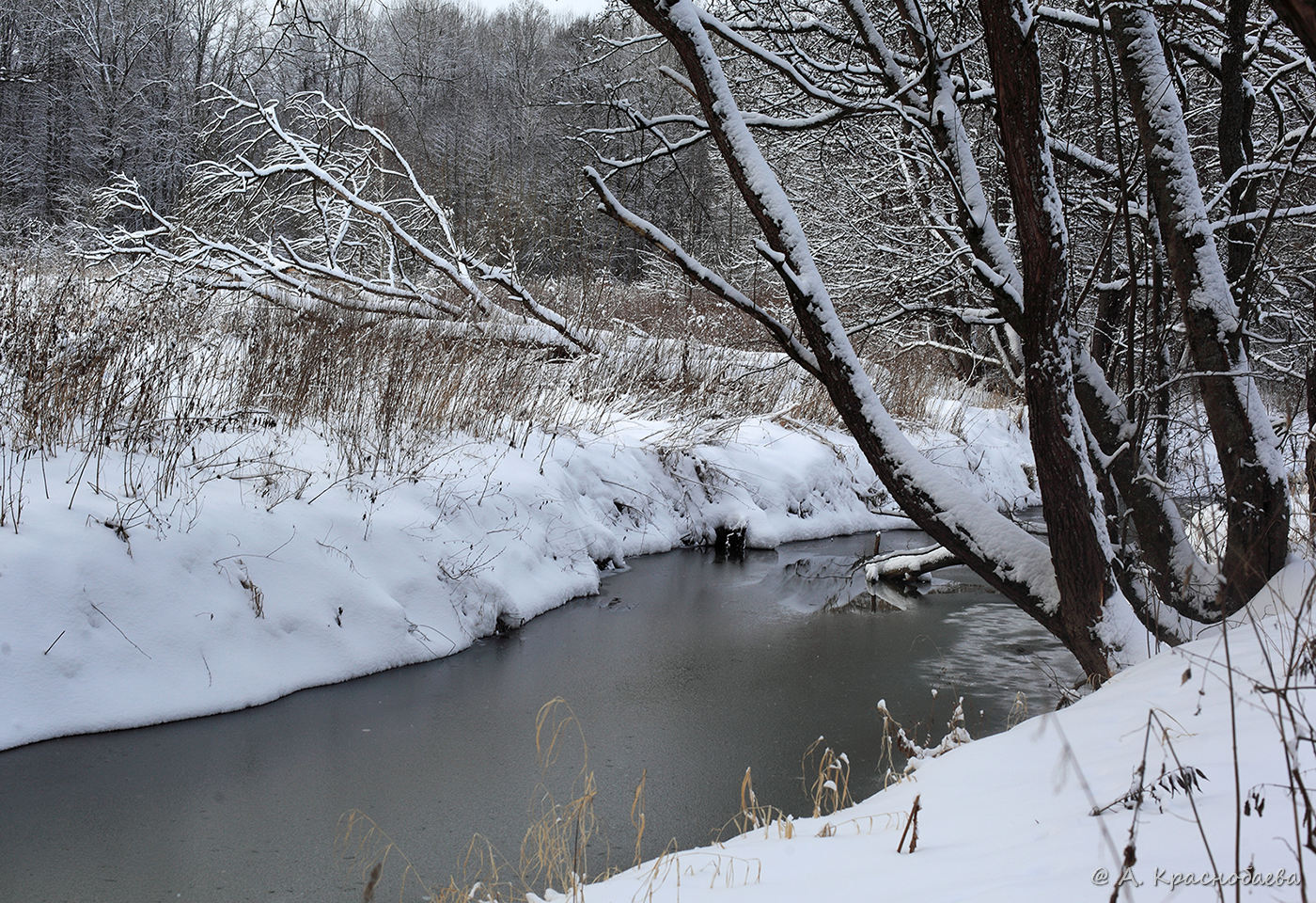 Дубна и окрестности, image of landscape/habitat.