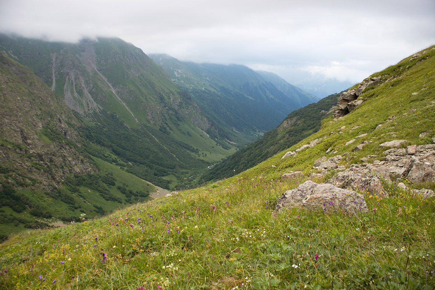 Имеретинское ущелье, image of landscape/habitat.