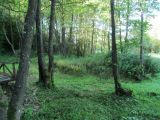 Image of landscape