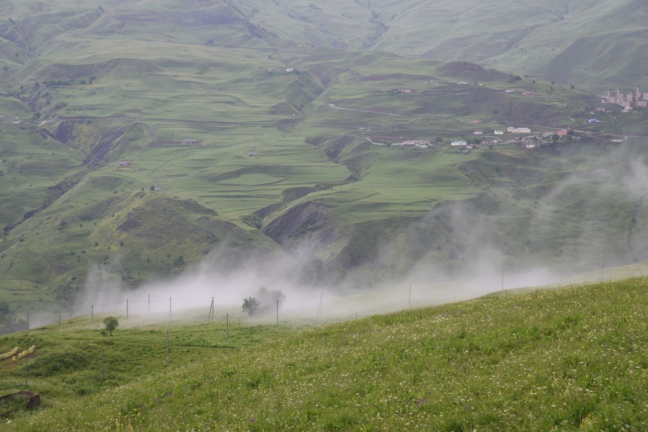 Хакмадой, image of landscape/habitat.
