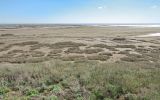 Эльтон, image of landscape/habitat.
