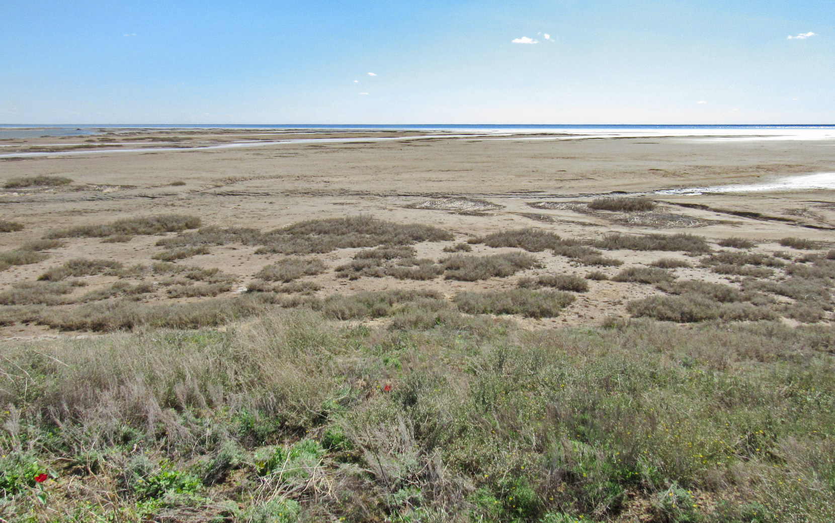 Эльтон, image of landscape/habitat.