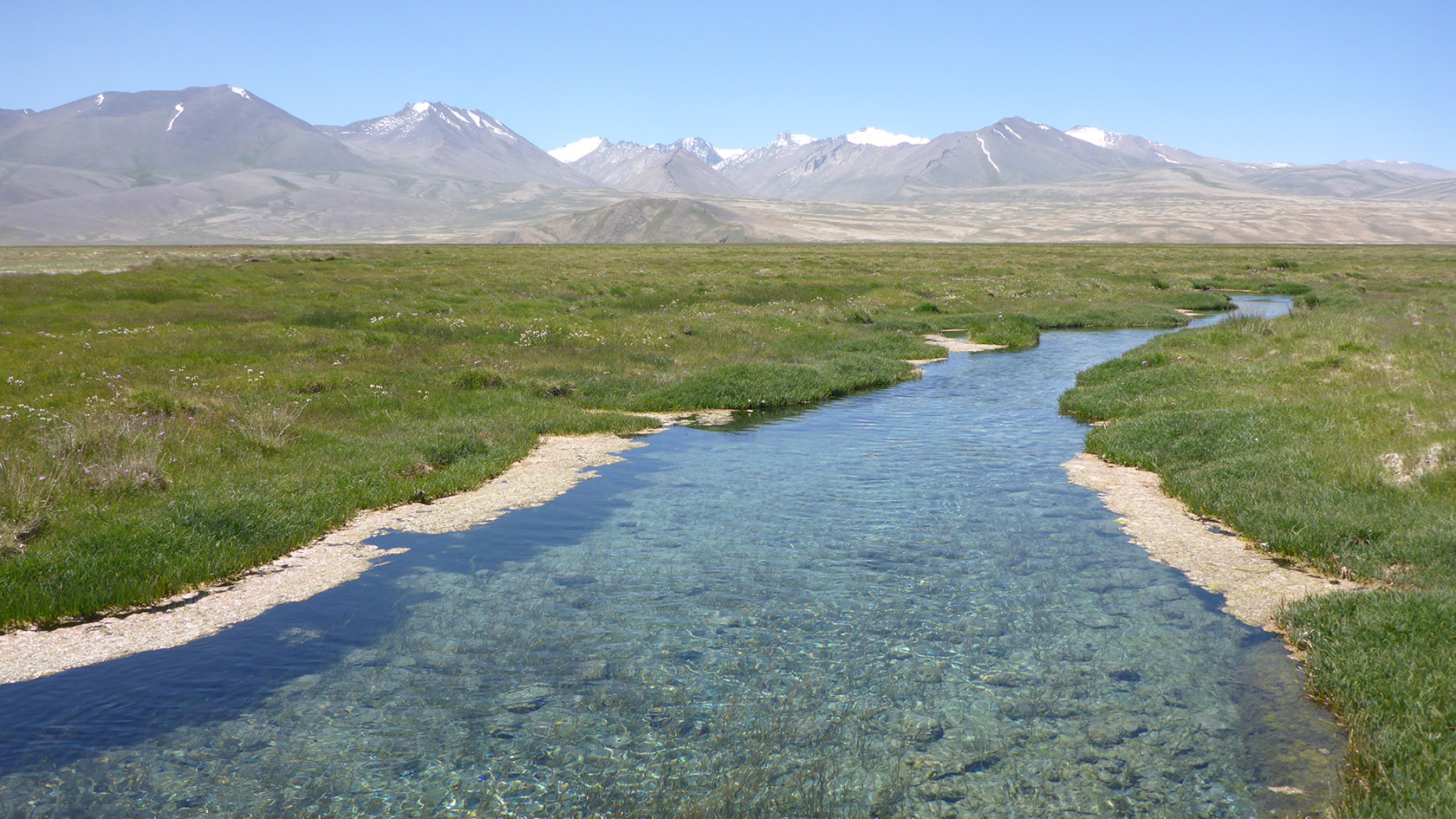 Аличурская долина, image of landscape/habitat.