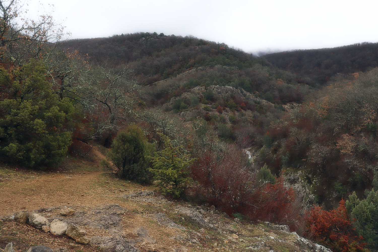 Байдарская долина, изображение ландшафта.