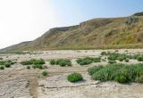 Витязевский лиман, image of landscape/habitat.