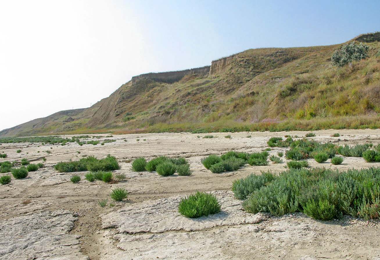 Витязевский лиман, image of landscape/habitat.