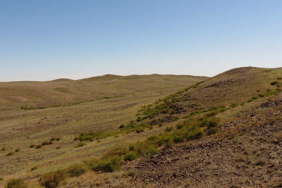 Горы Кугунь, image of landscape/habitat.