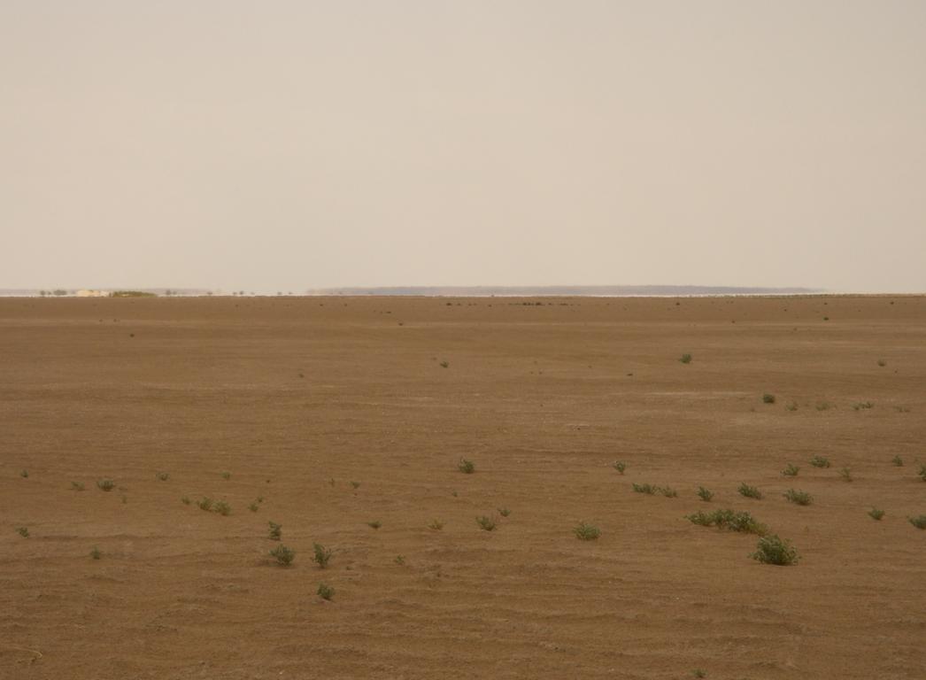 Барсакельмес, image of landscape/habitat.