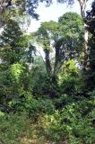 Image of landscape