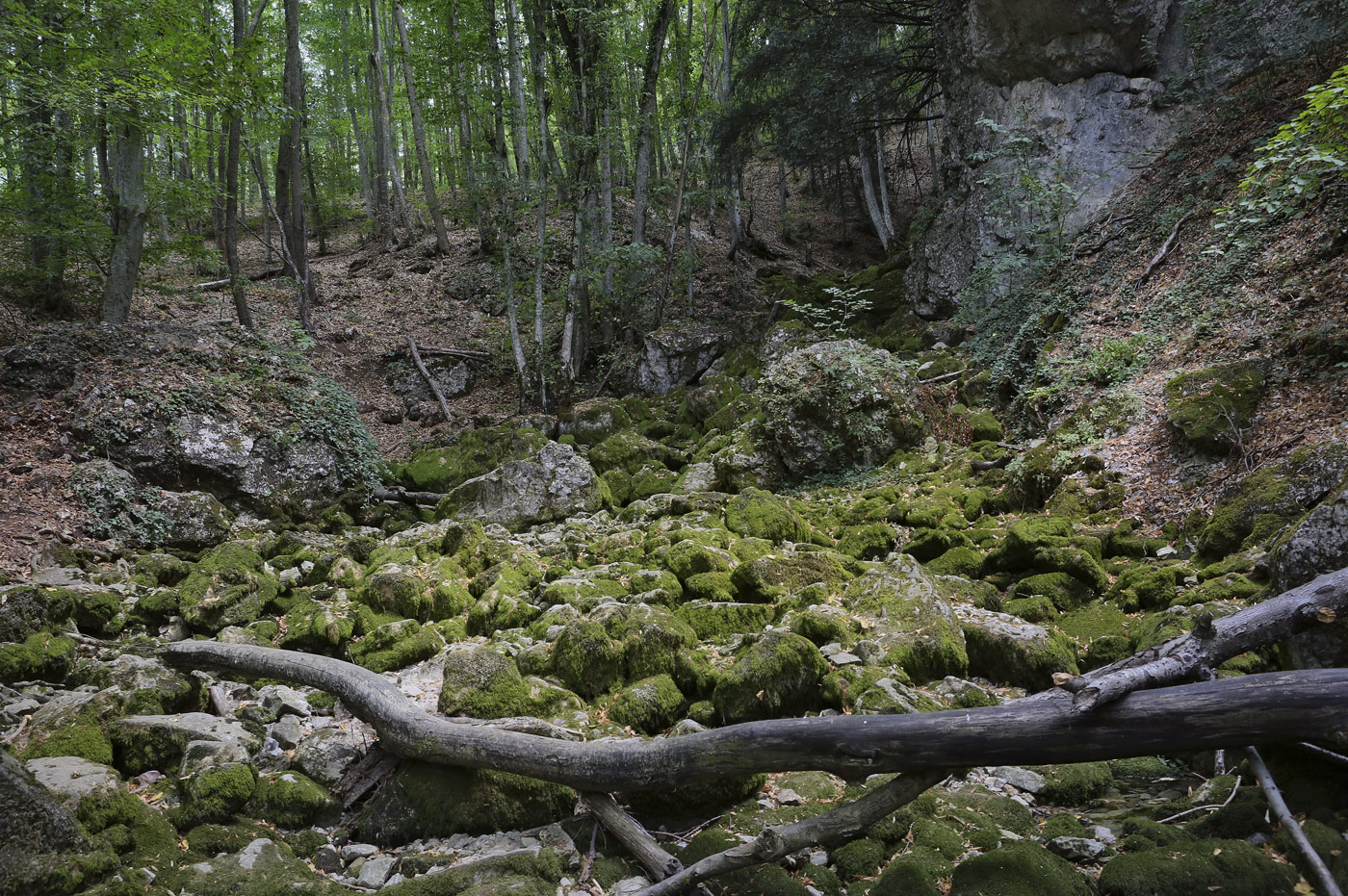 Большой каньон Крыма, image of landscape/habitat.