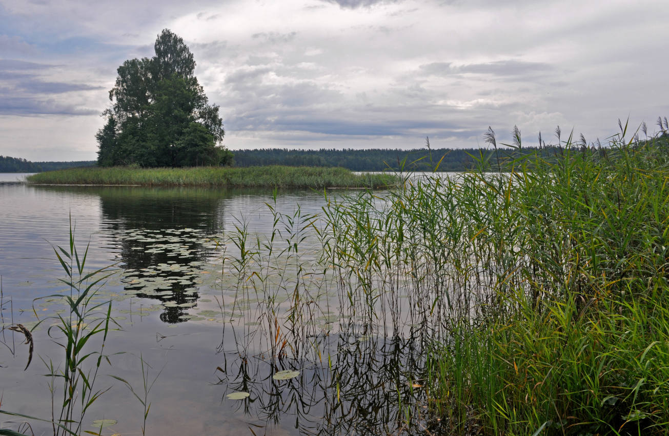 Озеро Сапшо, image of landscape/habitat.