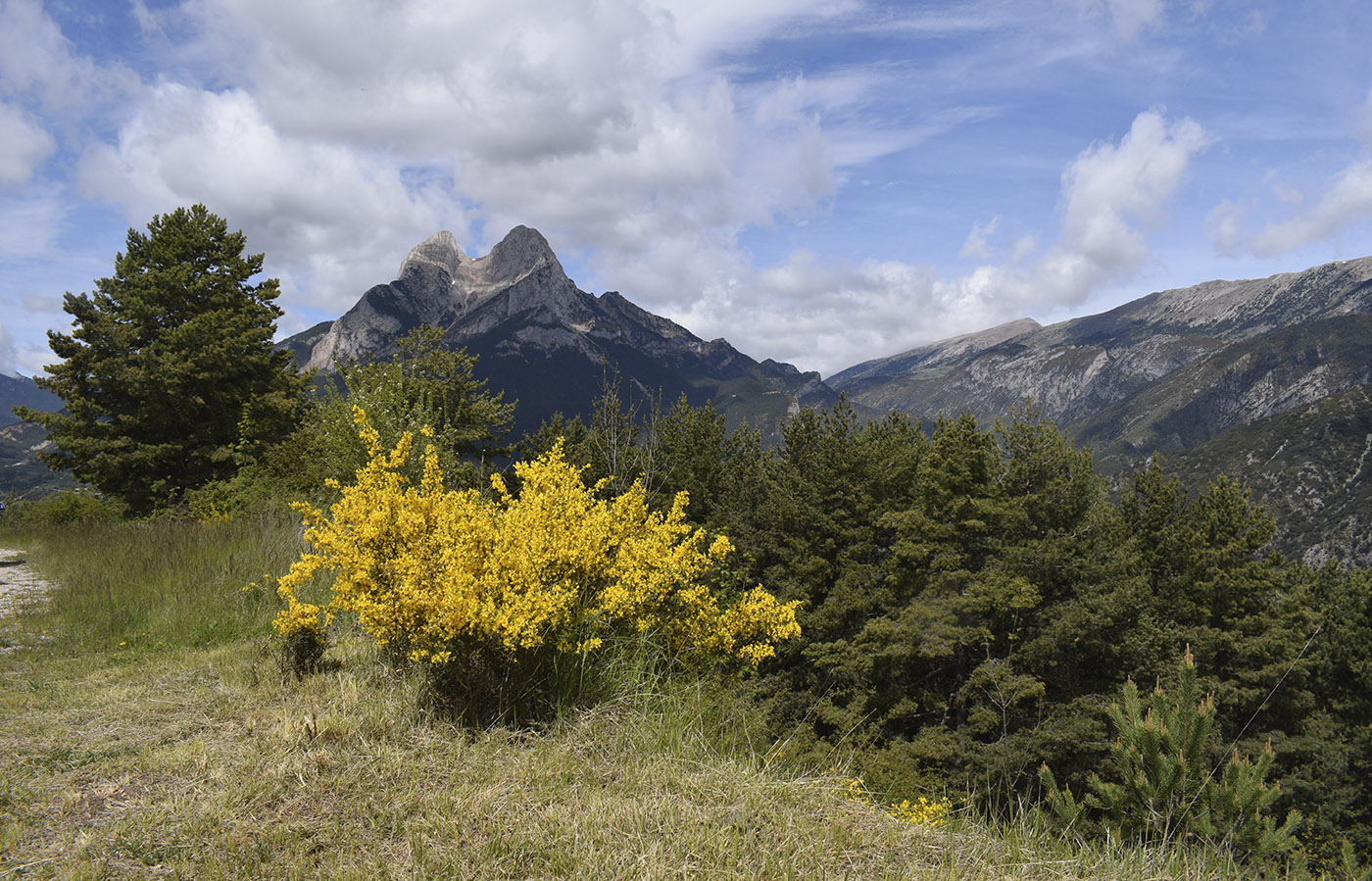 Подножие горы Педрафорка, image of landscape/habitat.