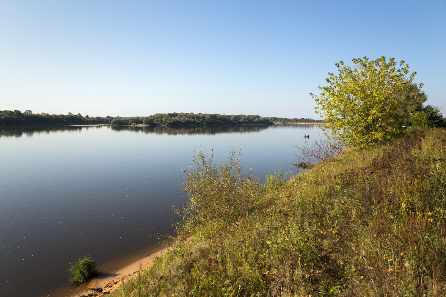 Стрелка Оки и Клязьмы, image of landscape/habitat.