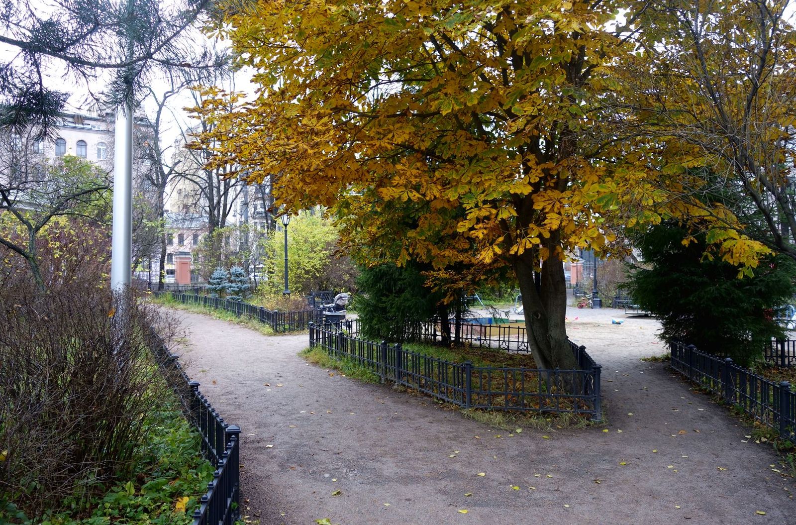 Центральный р-н Санкт-Петербурга, image of landscape/habitat.