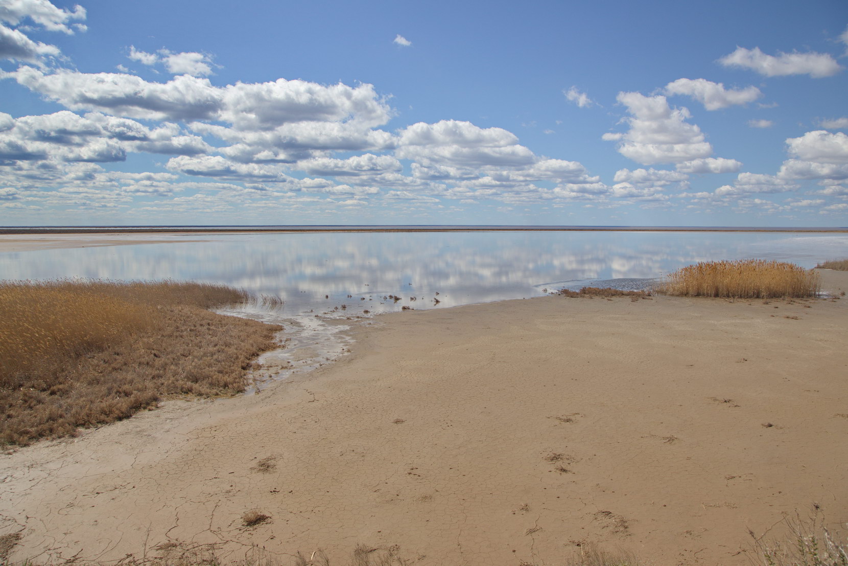 Эльтон, image of landscape/habitat.