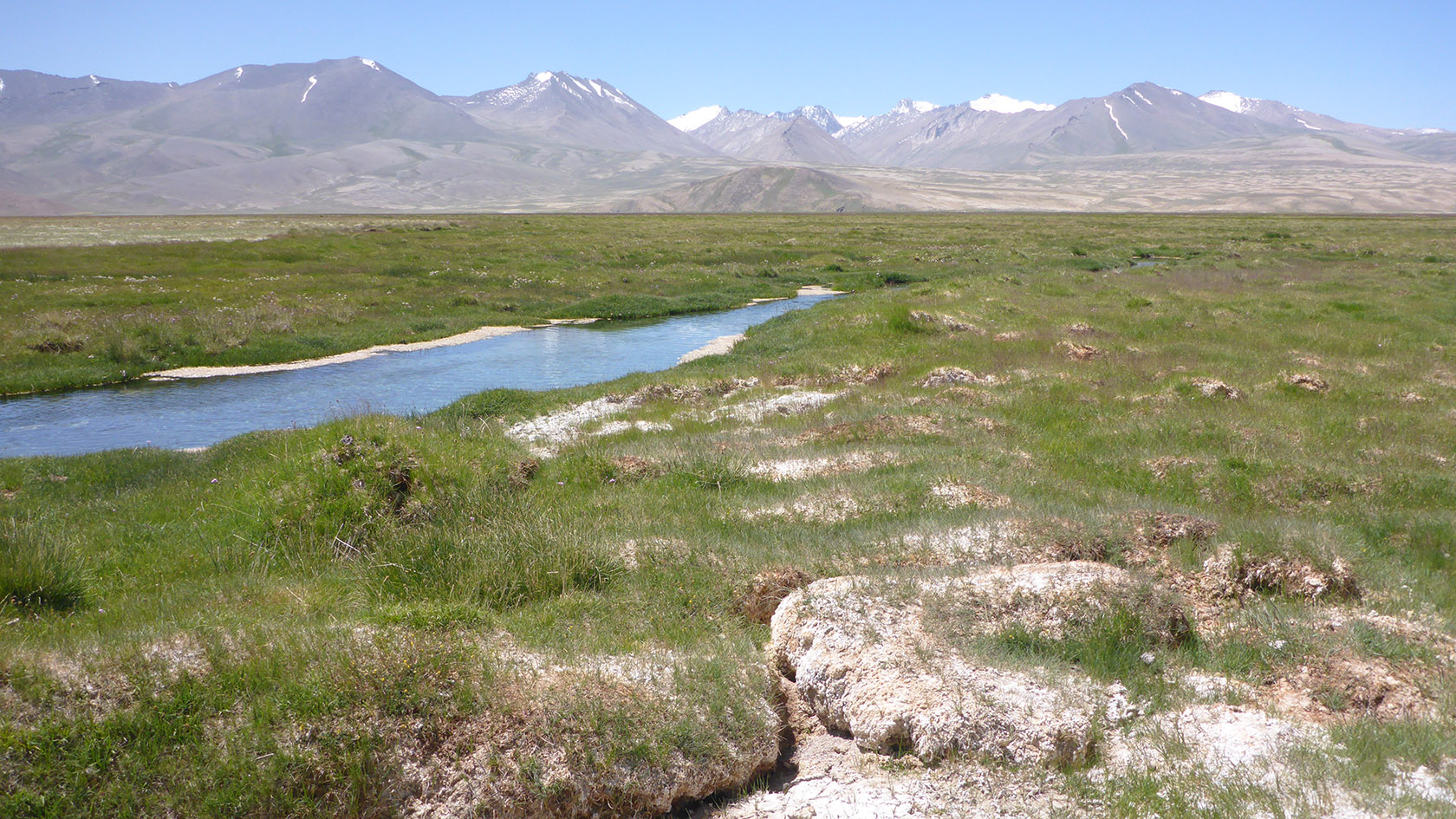 Аличурская долина, image of landscape/habitat.