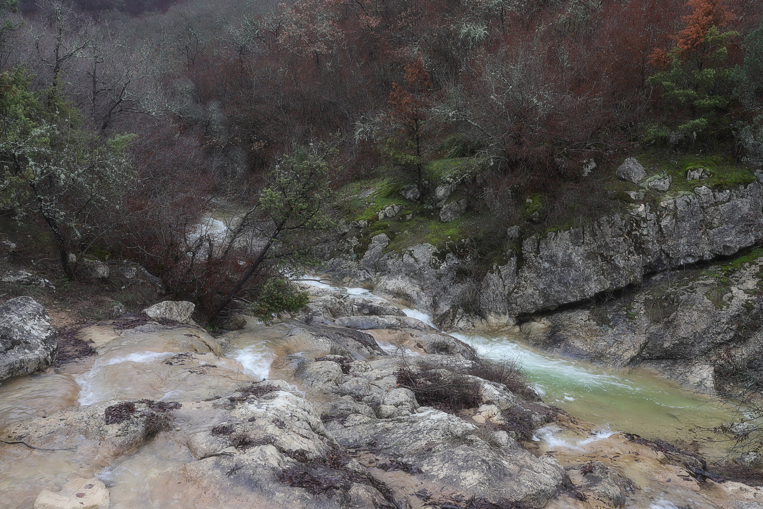 Байдарская долина, image of landscape/habitat.