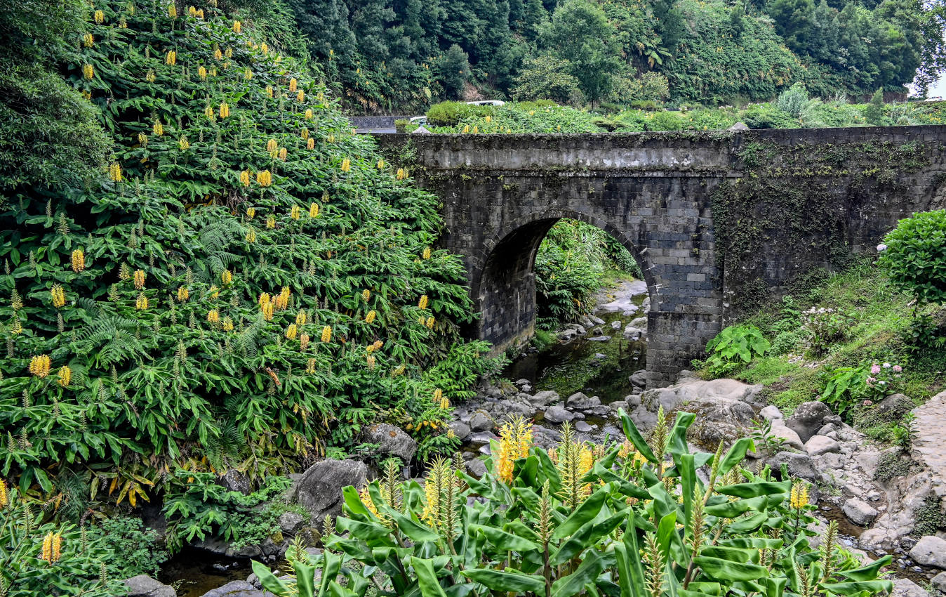 Ашада, изображение ландшафта.