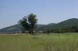 Image of landscape
