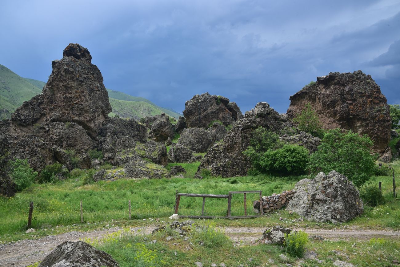 Окрестности села Тмогви, image of landscape/habitat.